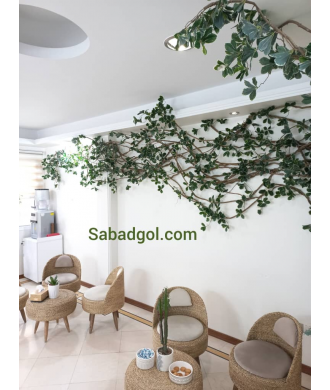 گیاه رونده مصنوعی